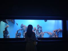 -海合安武汉极地海洋公园