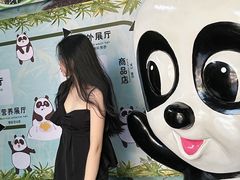 -灵玲国际马戏城