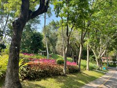 -深圳国际园林花卉博览园