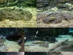 -绍兴梦享海洋公园