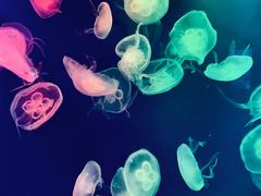 -成都浩海立方海洋公园