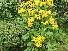 -贵阳市花溪国家城市湿地公园
