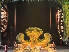 -广州长隆国际大马戏