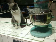 -MIKAKU(万达广场上海宝山店)