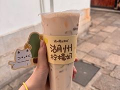 -猫的魔法密林(衣裳街店)