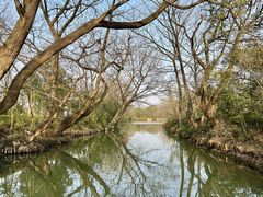 -西溪国家湿地公园