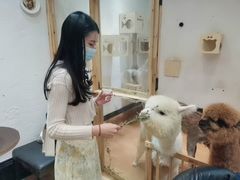 -猫色咖啡·猫咖