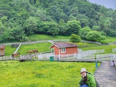-大水川景区
