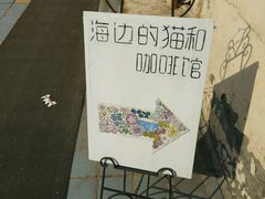 -海边的猫和咖啡馆