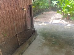 -深圳野生动物园