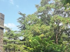 -青州古城