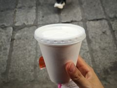 -洪馨椰子