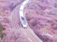 -居庸关长城