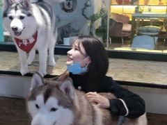 -Husky Go! 哈士奇体验馆·宠物咖啡厅狗咖