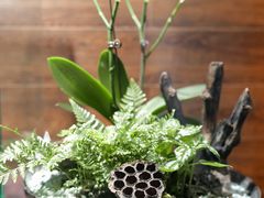 -松临·铁板烧&Omakase(神农店)