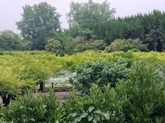 -嘉定紫藤园