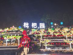 -枇杷园食为鲜火锅(南山店)