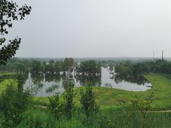 -绿堤公园