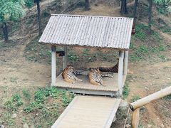 -石家庄市动物园