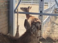 -遇见世外桃源教育农场