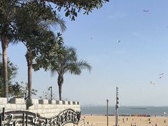 -巨鹏飞梦幻海岸