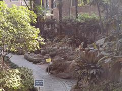 -申粤轩酒楼·三十年粤菜经典(丁香花园店)