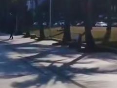 -珠海拱北口岸