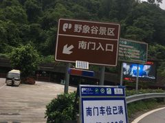 -野象谷景区