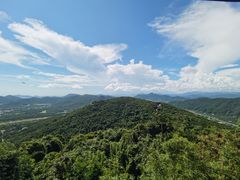 -三亚亚龙湾人间天堂鸟巢度假村