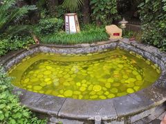-杭州第一世界大酒店·云曼温泉