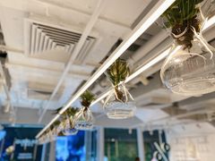 大堂-% Arabica阿拉比卡咖啡(前滩太古里店)