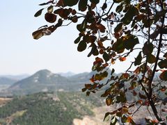 -佛慧山