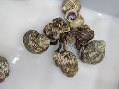 -三旗百汇商品城