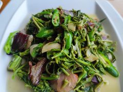 -柞水乾佑红门家菜