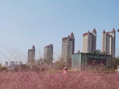 -青岛金沙滩