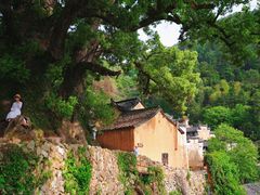 -杨家堂村