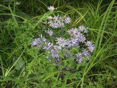 -硗碛藏寨·神木垒景区