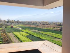 -翠田Green Field Kitchen