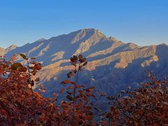 -水峪民俗村