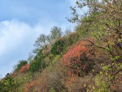 -北京西山国家森林公园