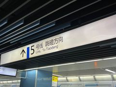 -大龙山(地铁站)