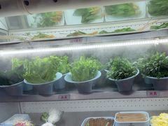 -老马路串串香火锅(北门桥店)