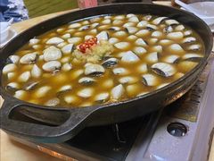 -顺德哥卜卜贝(旗舰店)