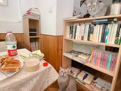 -隅cafe(傅厚岗店)