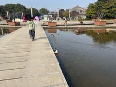 -白马涧龙池景区