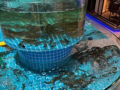 -蓝珊甄选海鲜自助·火锅大排档(近阿那亚店)