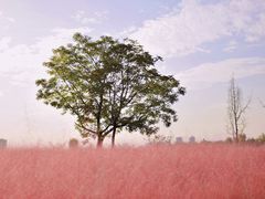 -汉长安城未央宫国家考古遗址公园