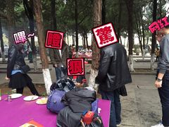 -白马涧龙池景区