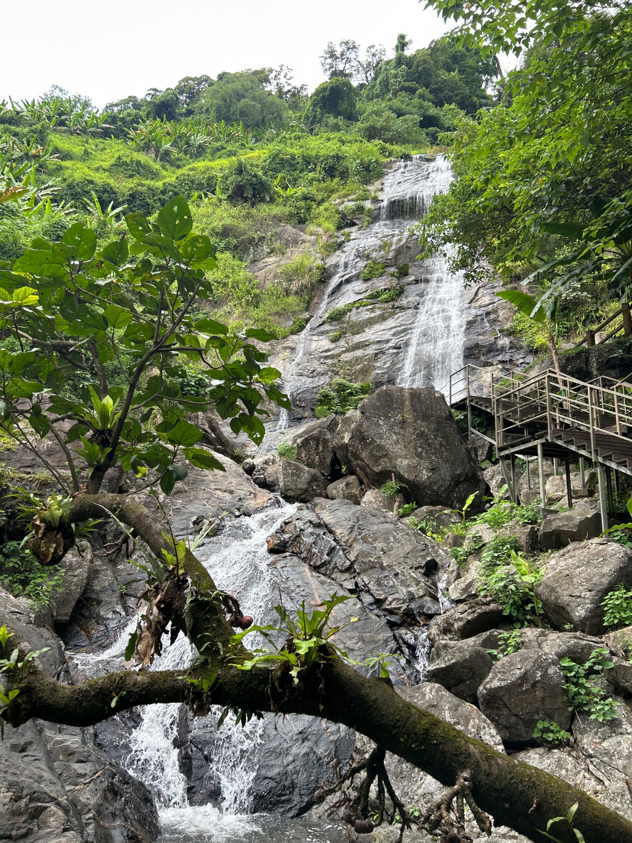 海南琼中百花岭风景区图片