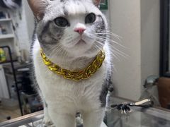 -百金通黄金回收首饰定制维修(珠江路总部)